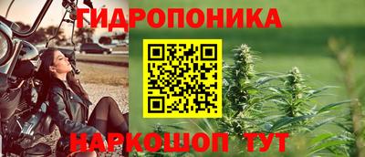 ALPHA PVP Камышлов