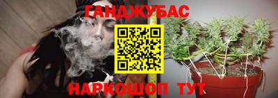 ALPHA PVP Камышлов
