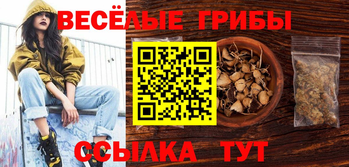Бошки Шишки Лянтор