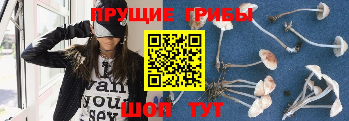 Лянтор  Галлюциногенные грибы GOLDEN TEACHER  Вход с VPN  Псилоцибиновые грибы мухоморы 